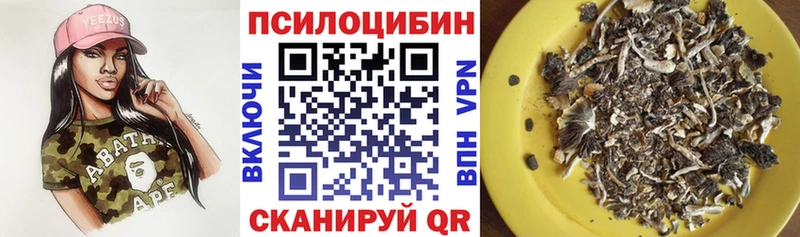 Галлюциногенные грибы Psilocybine cubensis  Кореновск 
