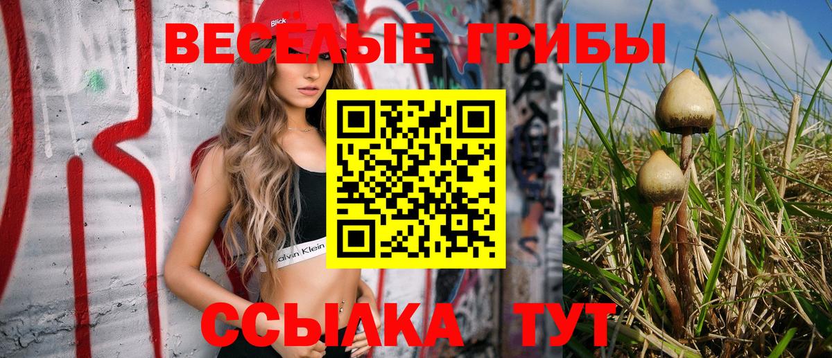 Псилоцибиновые грибы Psilocybe  Псилоцибиновые грибы MAGIC MUSHROOMS  Кореновск  Вход с VPN 